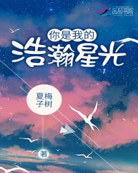 你是我的浩瀚星光章节列表