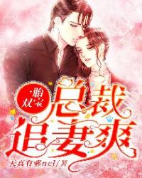 一胎双宝，总裁追妻爽章节列表