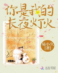 你是我的长夜灯火章节列表