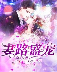 妻路盛宠章节列表