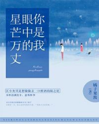 你是我眼中的星芒万丈章节列表