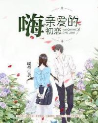 嗨，亲爱的初恋章节列表