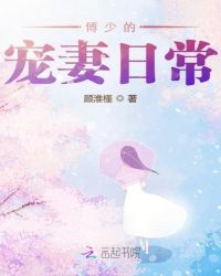 傅少的宠妻日常章节列表