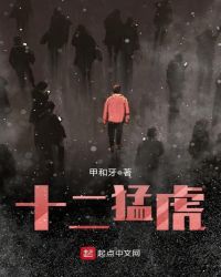 十二猛虎章节列表