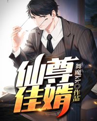 仙尊佳婿章节列表