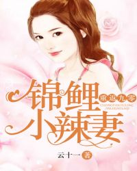 重返九零：锦鲤小辣妻章节列表