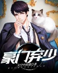 豪门弃少章节列表