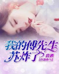 我的傅先生苏炸了章节列表