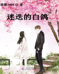 迷迭的白鸽章节列表