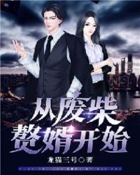 从废柴赘婿开始章节列表