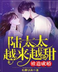 被迫成婚：陆太太越来越甜章节列表