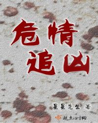 危情追凶章节列表