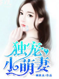 独宠小萌妻章节列表