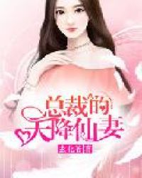 总裁的天降仙妻章节列表