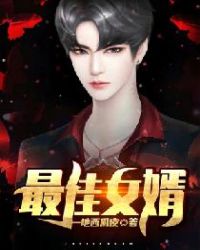 最佳女婿章节列表