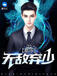 都市无敌弃少章节列表
