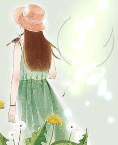 顶级高手章节列表