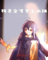 精灵宝可梦之山钰章节列表