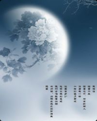 月的遐思章节列表