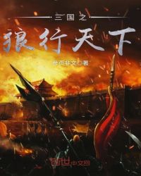 三国之狼行天下章节列表