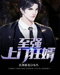 至强上门狂婿章节列表