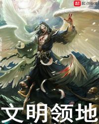 文明领地章节列表