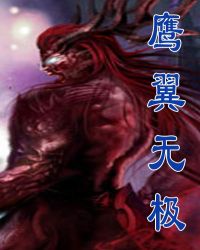 鹰翼无极章节列表