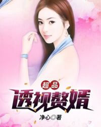 超品透视赘婿章节列表