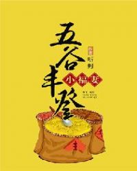 五谷丰登小福妻章节列表