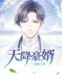 天降豪婿章节列表