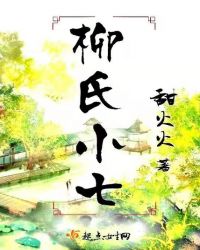 柳氏小七章节列表