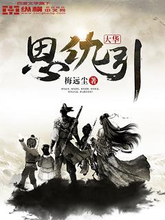 大华恩仇引章节列表