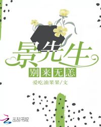 景先生别来无恙章节列表