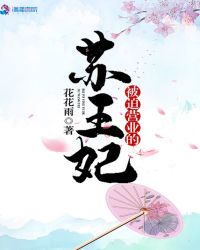 被迫营业的苏王妃章节列表