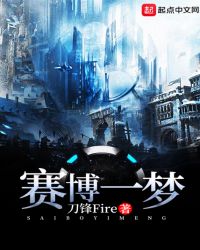 赛博一梦章节列表