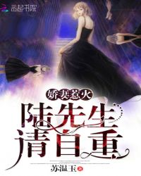 娇妻惹火：陆先生，请自重！章节列表