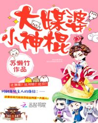 大媒婆小神棍章节列表