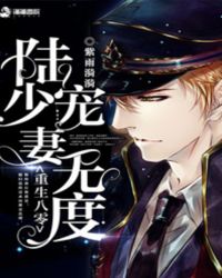 重生八零：陆少宠妻无度章节列表