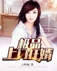 极品上门狂婿章节列表