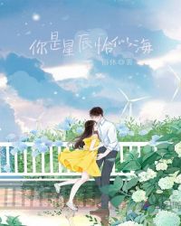 你是星辰恰似海章节列表