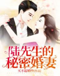 陆先生的秘密婚妻章节列表