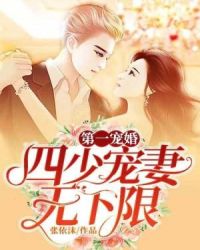 第一宠婚：四少宠妻无下限章节列表