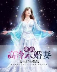 我的高冷未婚妻章节列表