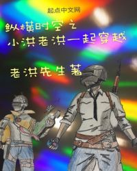 小洪老洪一起穿越章节列表