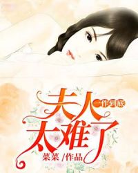 一作到底，夫人太难了章节列表