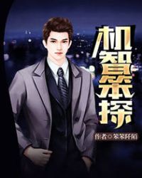 机智笨探章节列表