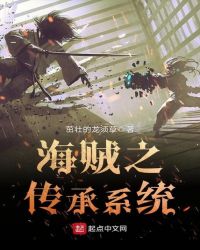 海贼之传承系统章节列表