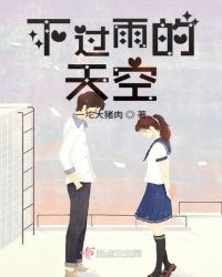 下过雨的天空章节列表