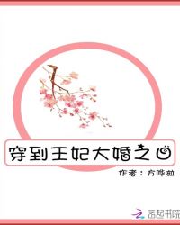 穿到王妃大婚之日章节列表