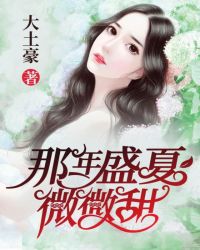 那年盛夏微微甜章节列表